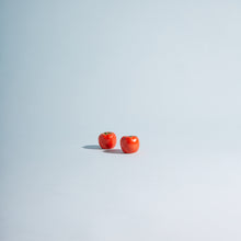 Load image into Gallery viewer, Itsy Bitsy Tomato Shakers
