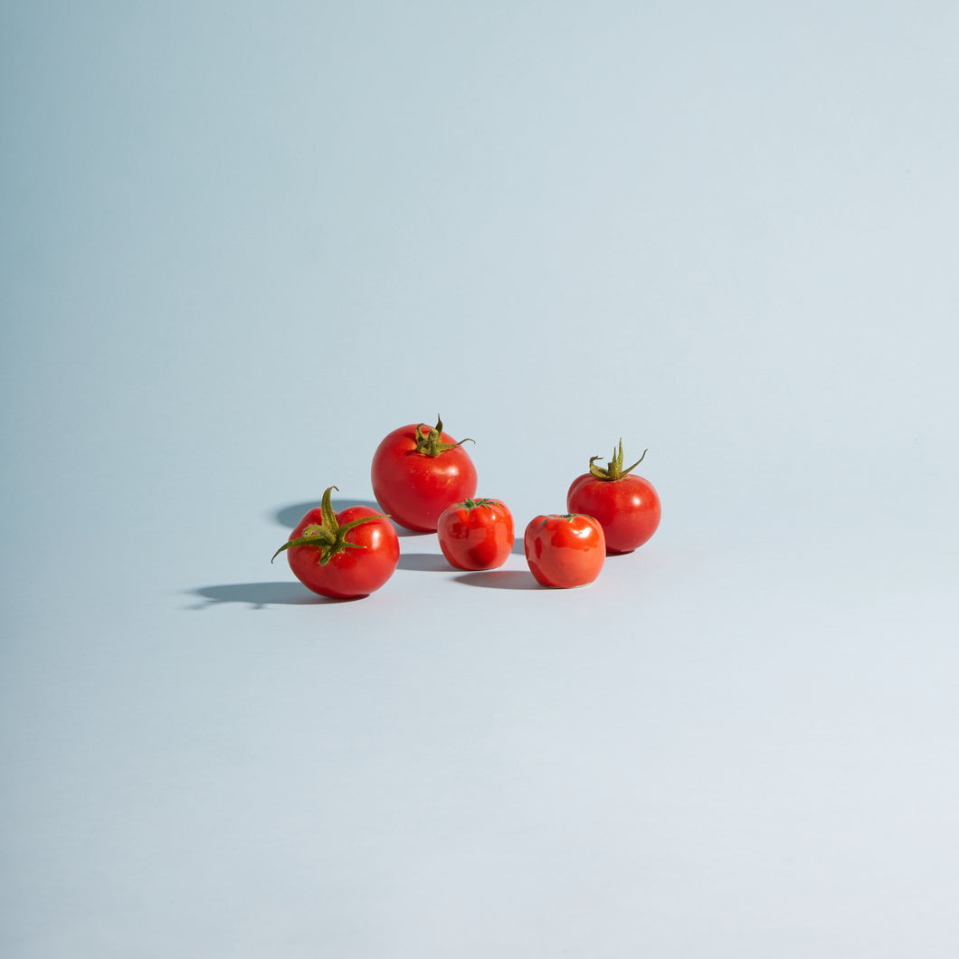 Itsy Bitsy Tomato Shakers